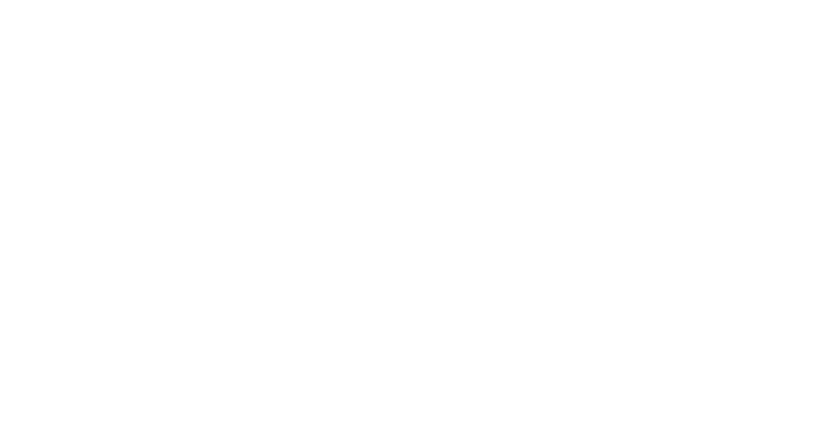 Der Steinreiniger